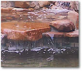 Water Pond